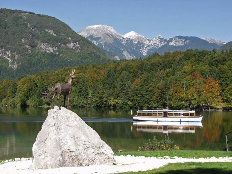 Apartments Zdovc Bohinjska Bistrica Kültér fotó